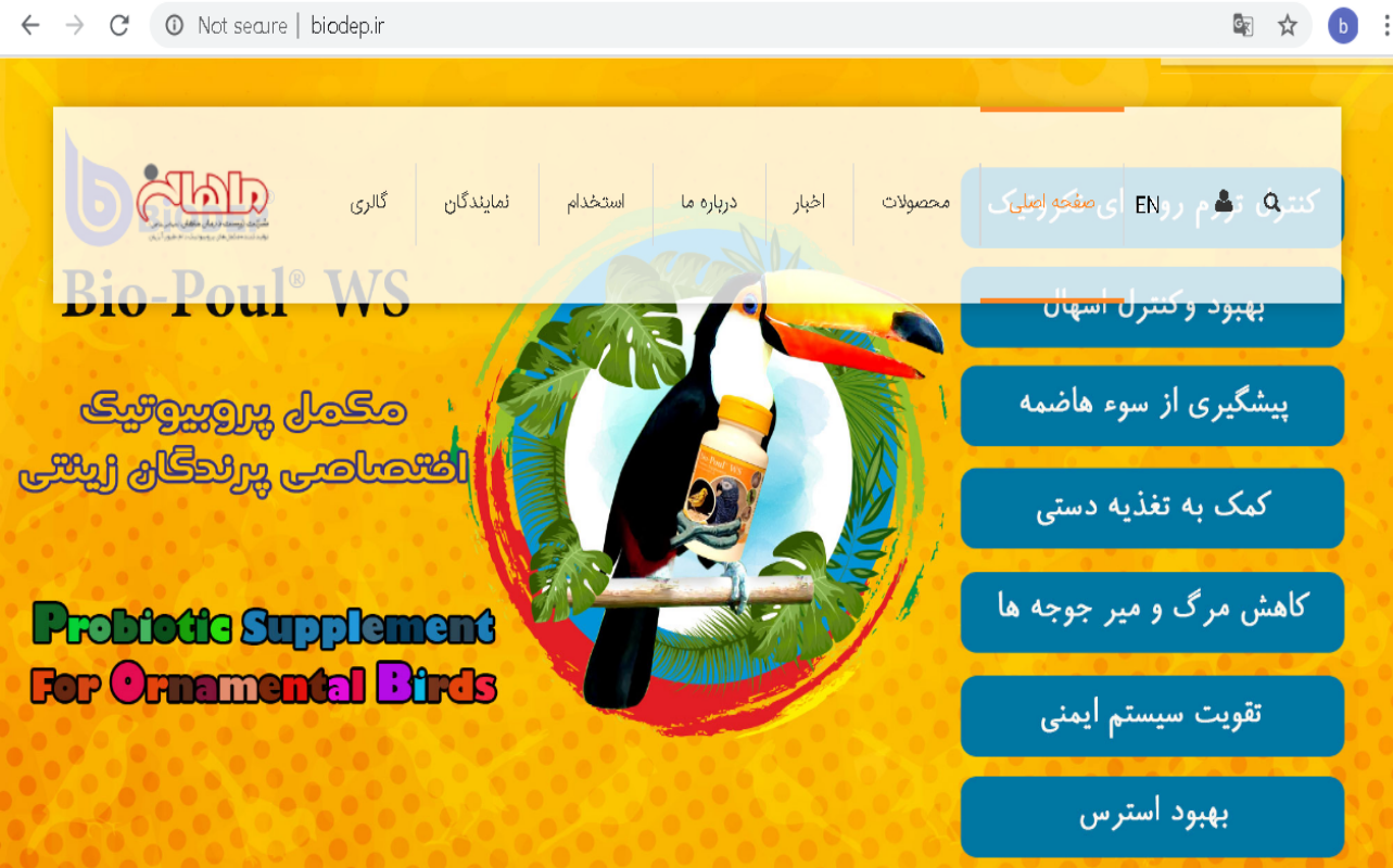 زیست درمان ماهان شرکت دانش بنیان پروبیوتیک